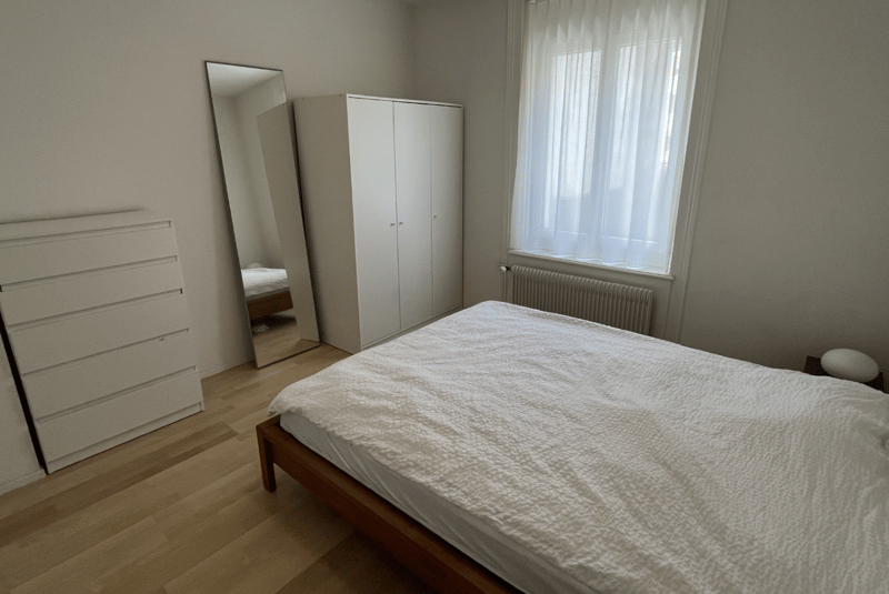 2 1/2 Möblierte Wohnung zur Untermiete / befristet - Zürich Kreis 5 / Limmatplatz (4)