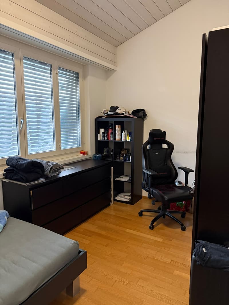 WG Zimmer (5)