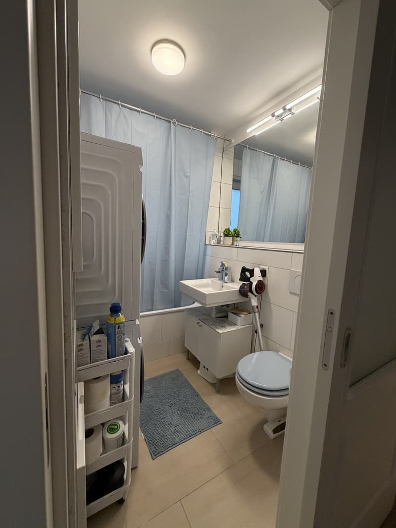 3 ½ Zimmer-Wohnung, 6006 Luzern (7)