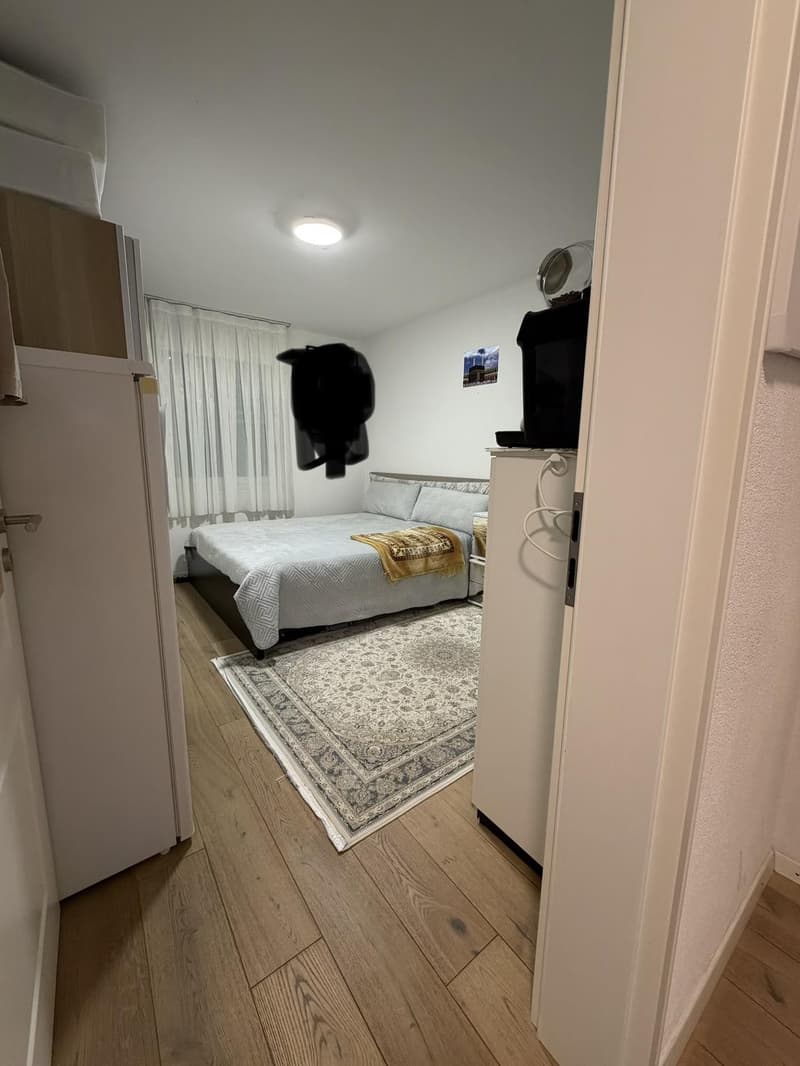 3 ½ Zimmer-Wohnung, 6006 Luzern (4)