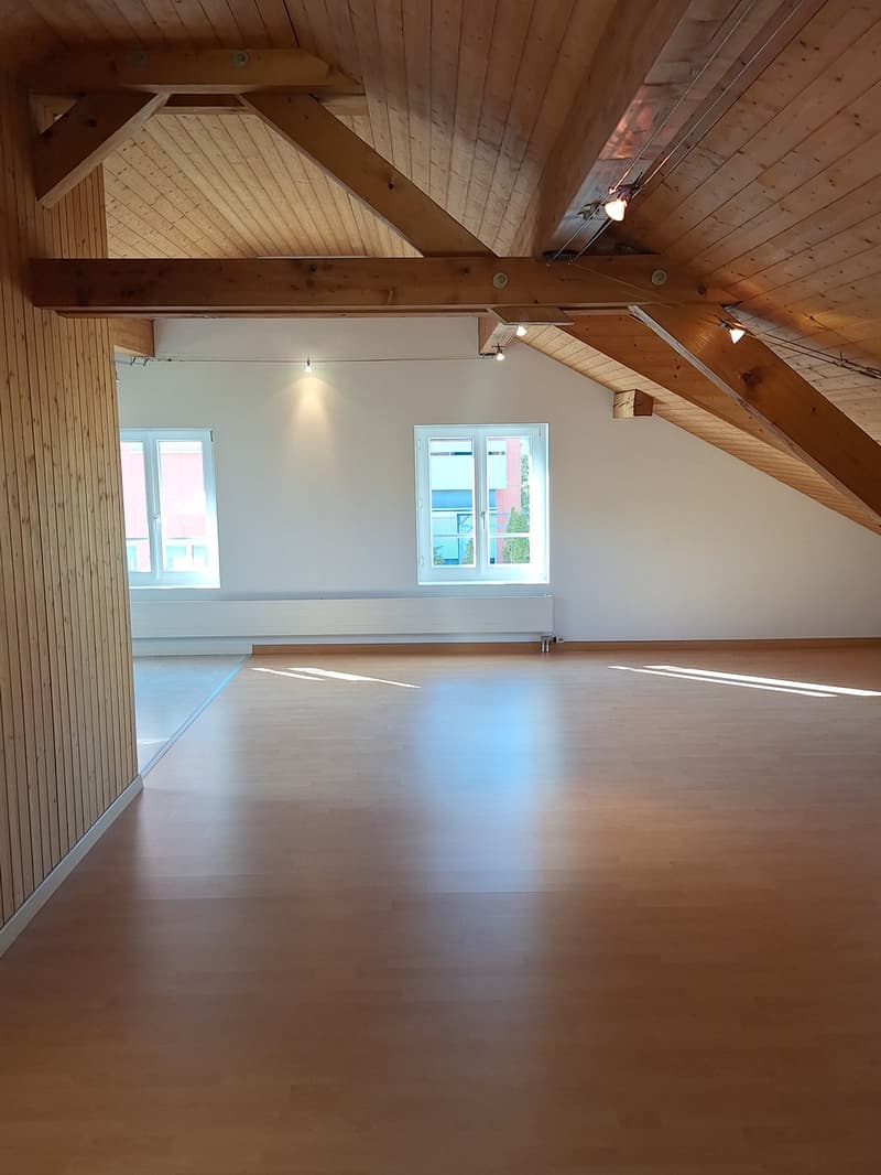 2 ½ Zimmer-Wohnung, 5442 Fieslisbach (3)