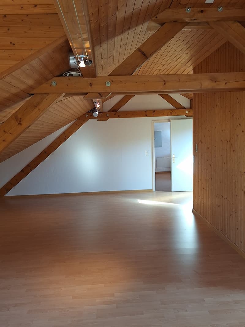 2 ½ Zimmer-Wohnung, 5442 Fieslisbach (2)