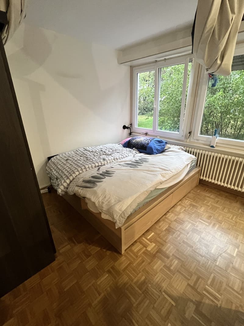 Appartement 2 pièces, 1206 Genève (5)