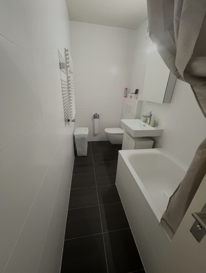 Appartement 2 pièces, 1206 Genève (3)