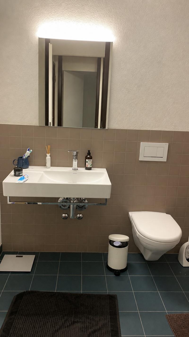 Schöne neue 3½-Zimmer-Wohnung zu vermieten (11)