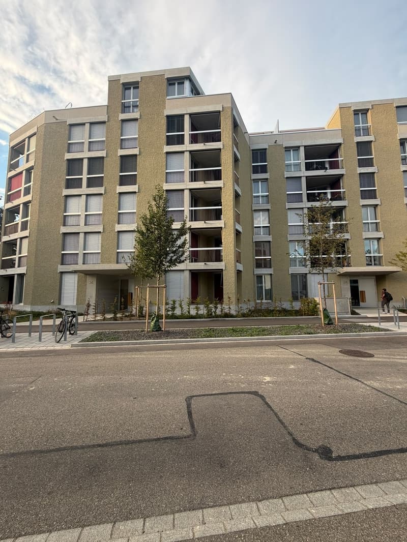 Schöne neue 3½-Zimmer-Wohnung zu vermieten (13)