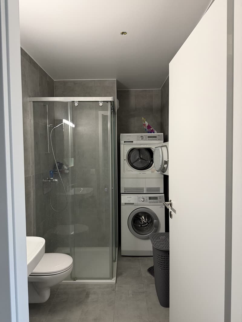 Appartement 2 ½ pièces, 1022 Chavannes (6)