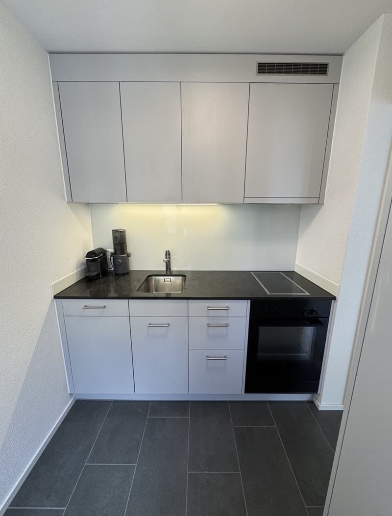 1 ½ Zimmer-Wohnung, 8008 Zürich (7)