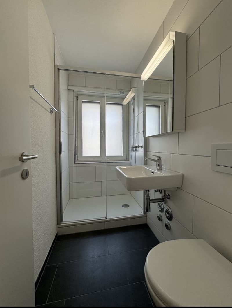 1 ½ Zimmer-Wohnung, 8008 Zürich (2)
