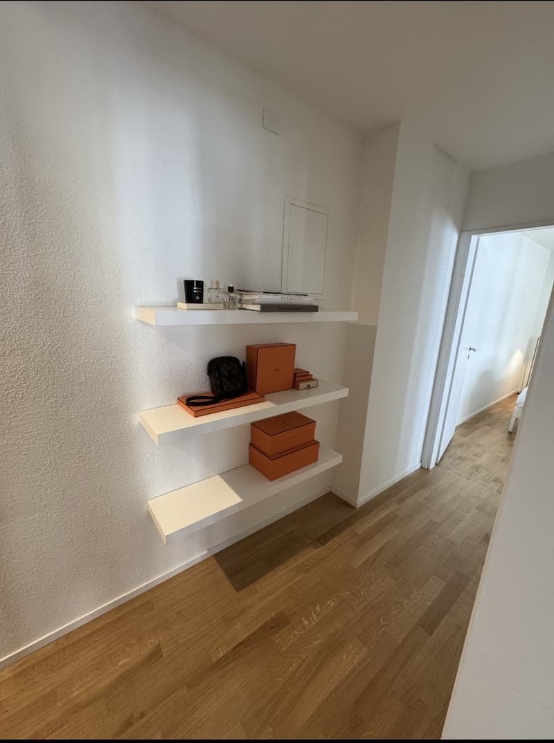 1 ½ Zimmer-Wohnung, 8008 Zürich (3)