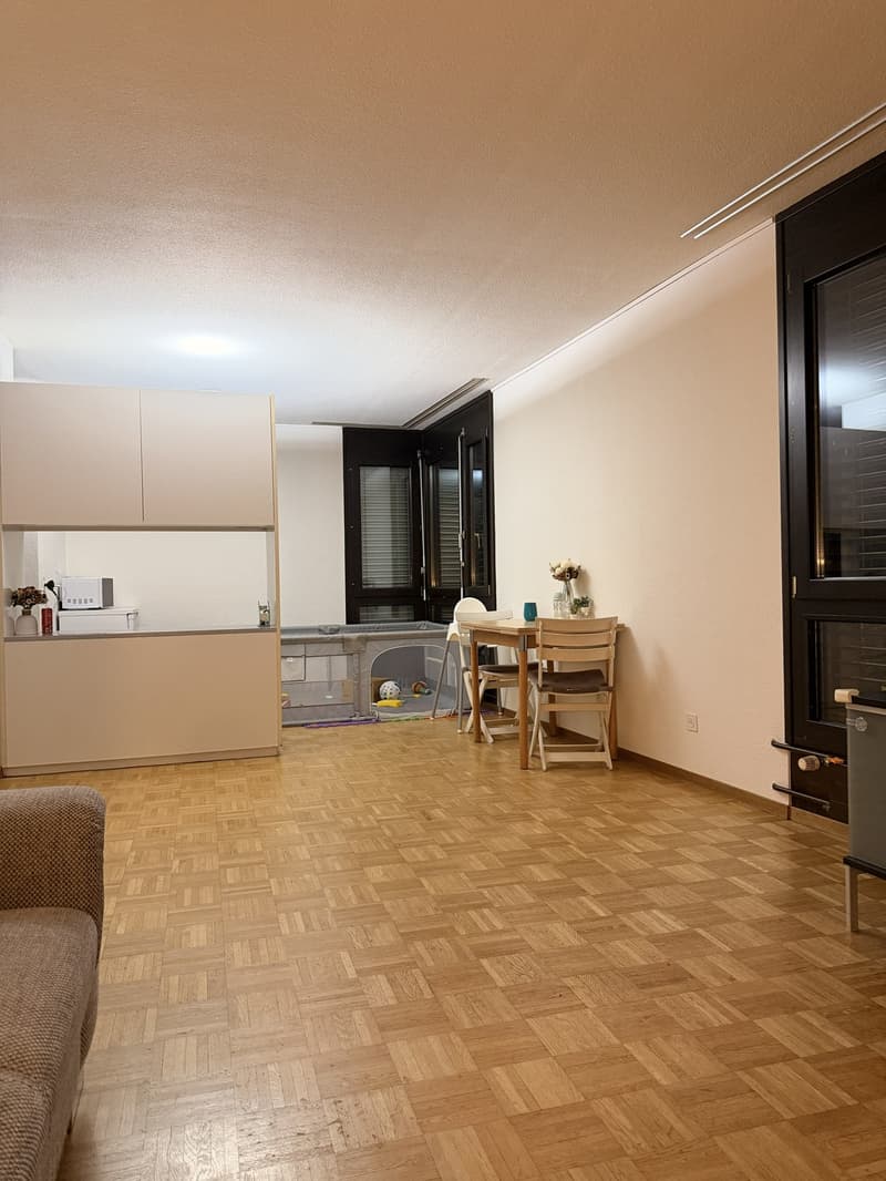 Furnished 2.5-room apartment near Bern city centre 11.12.2026 to 17.01.2027 (2)