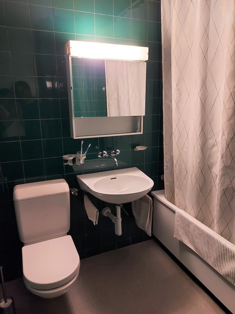 Furnished 2.5-room apartment near Bern city centre 11.12.2026 to 17.01.2027 (7)