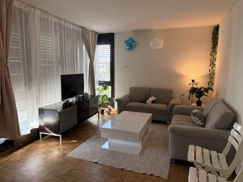 Furnished 2.5-room apartment near Bern city centre 11.12.2026 to 17.01.2027 (1)