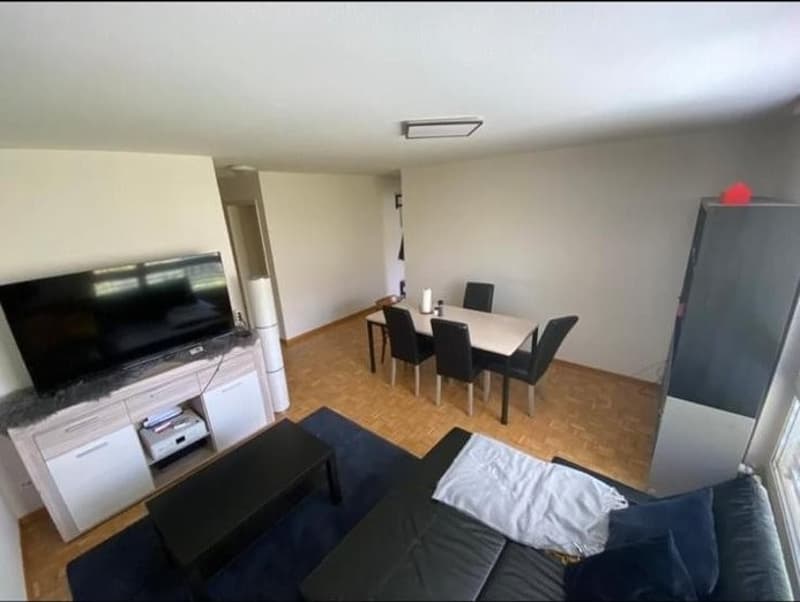Looking for 3 New Tenants  3-Bedroom Apartment in St. Gallen (9)