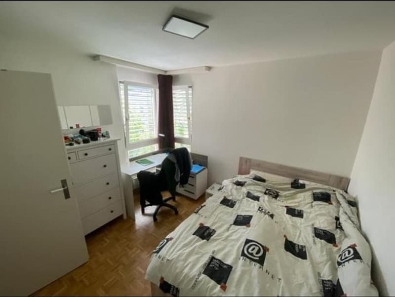 Looking for 3 New Tenants  3-Bedroom Apartment in St. Gallen (3)