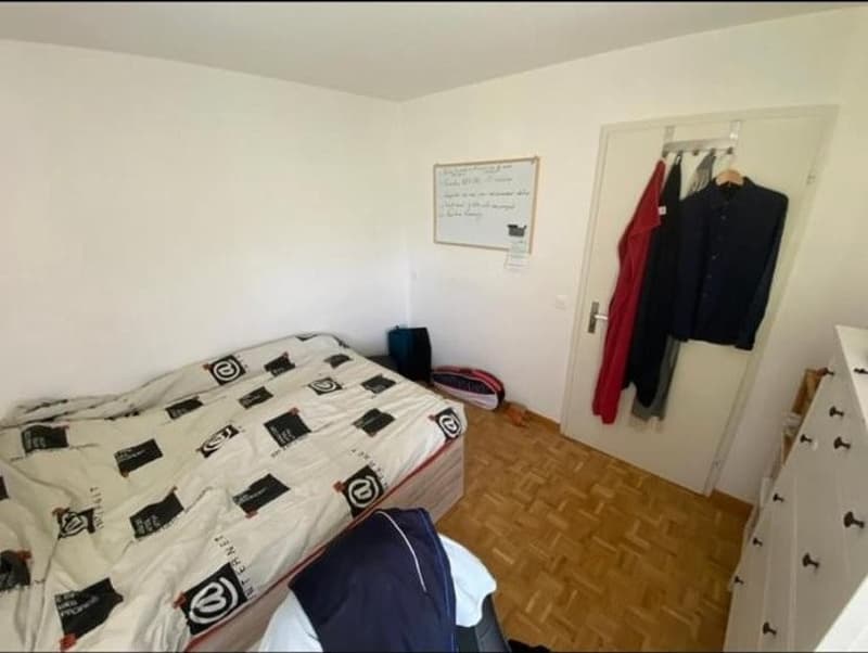 Looking for 3 New Tenants  3-Bedroom Apartment in St. Gallen (4)