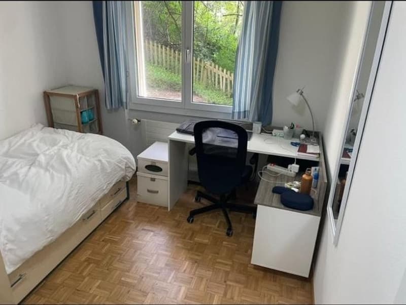 Looking for 3 New Tenants  3-Bedroom Apartment in St. Gallen (5)