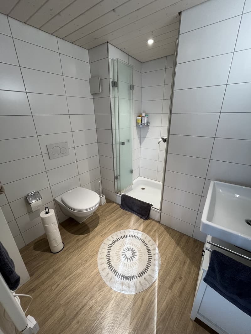 1-Zimmer-Altstadtwohnung in Baden (5)
