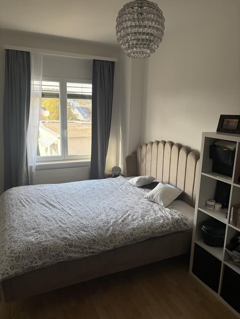 Furnished 2.5-room apartment in Zurich temporary sublet (3)