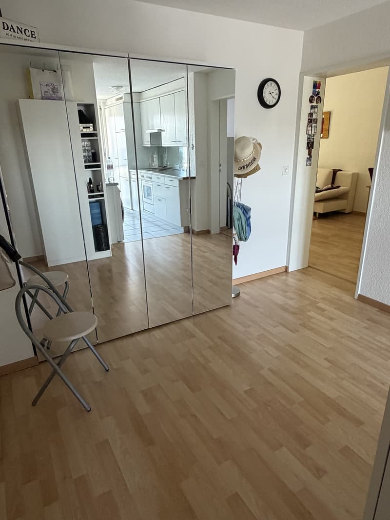 Furnished 2.5-room apartment in Zurich temporary sublet (4)