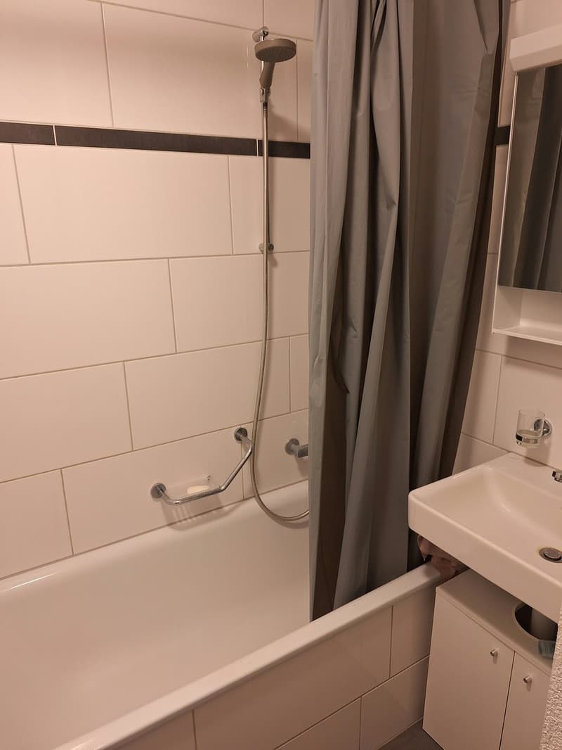 Helles Zimmer in zentraler WG zu vermieten (4)