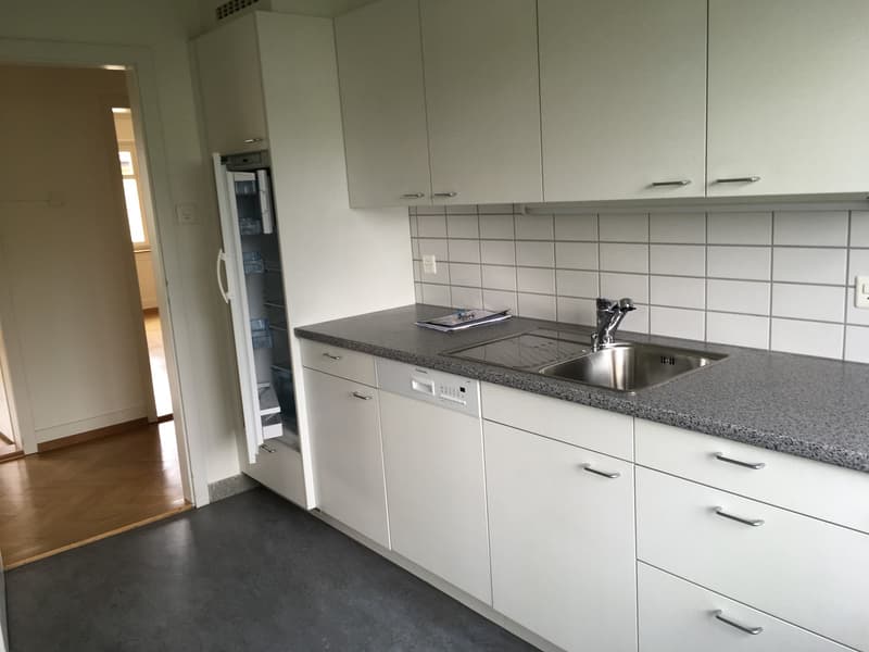 Nachmieter gesucht schöne 3.5-Zimmer-Altbauwohnung in Olten (7)