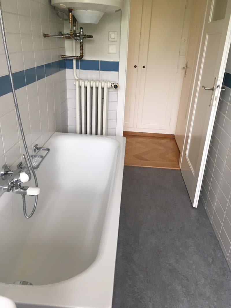 Nachmieter gesucht schöne 3.5-Zimmer-Altbauwohnung in Olten (13)
