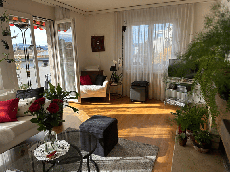 4.5 Zimmer Wohnung (3)