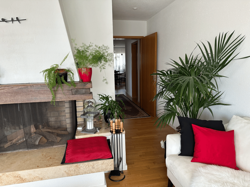 4.5 Zimmer Wohnung (4)