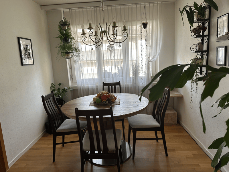 4.5 Zimmer Wohnung (2)