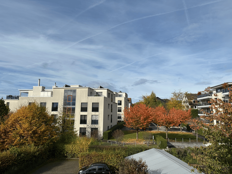 4.5 Zimmer Wohnung (6)