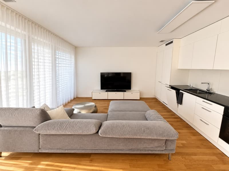 2.5 Zimmer EG WHG mit 16 m2 Sitzplatz Terrasse (1)