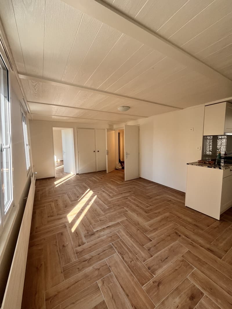 Nachmieter gesucht- 3.5 Zimmer Wohnung in Frauenfeld (2)