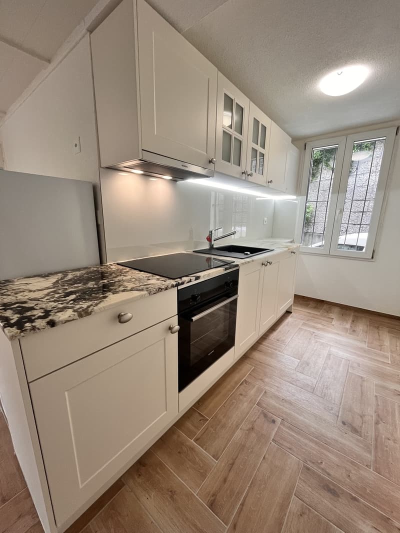 Nachmieter gesucht- 3.5 Zimmer Wohnung in Frauenfeld (1)