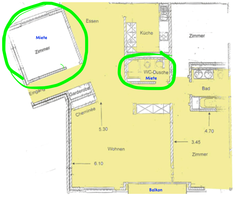 Helles 12 m²-Zimmer mit eigenem Bad/WC in 4,5-Zimmer-WG in Hottingen (8032 Zürich) (3)