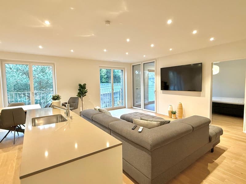 Vollmöblierte moderne 3.5-Zimmer-Wohnung an Toplage in Luzern (1)