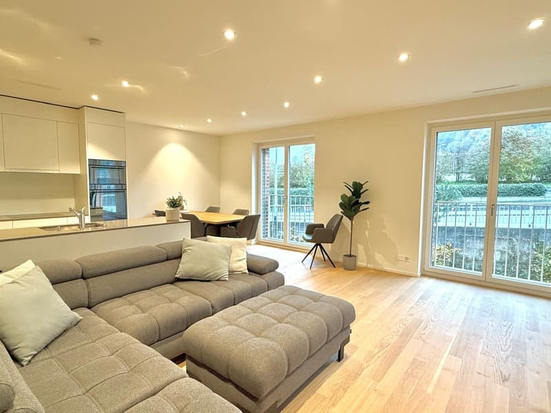 Vollmöblierte moderne 3.5-Zimmer-Wohnung an Toplage in Luzern (2)