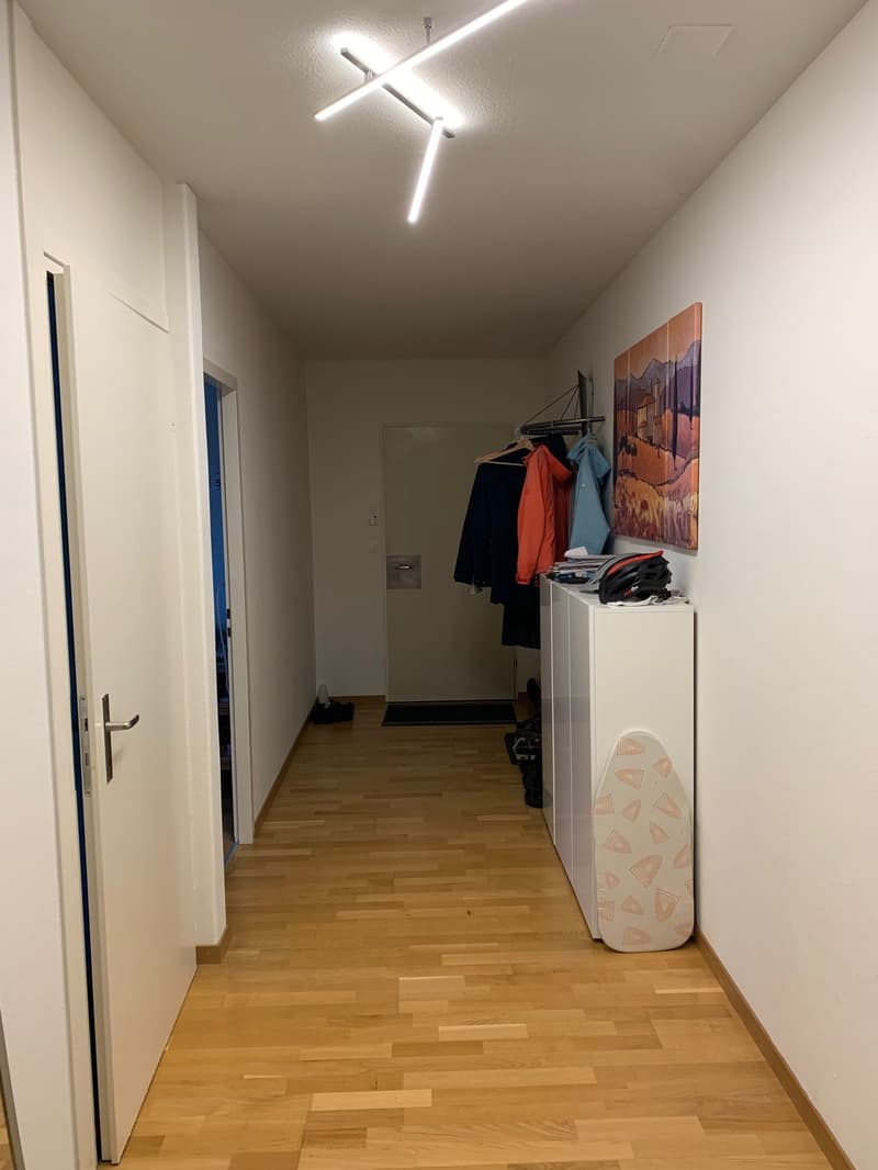 Zimmer in sonniger 3er-WG in Greifensee  ab 1. März 2027 (8)