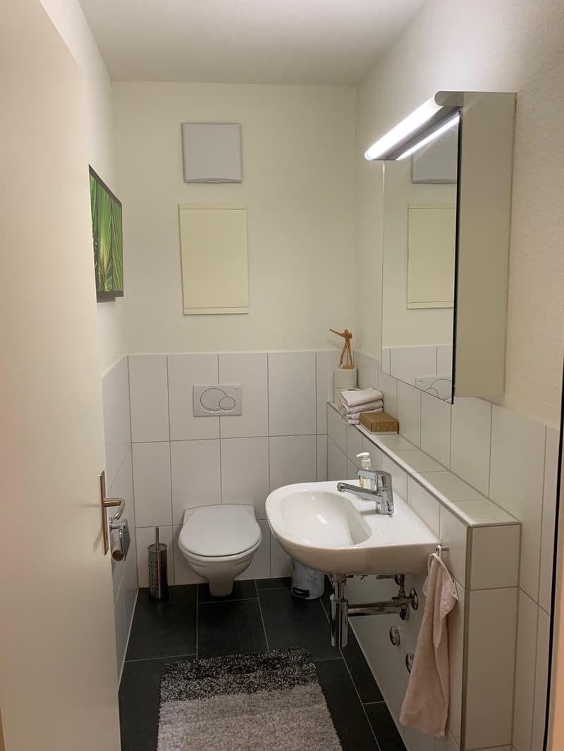 Zimmer in sonniger 3er-WG in Greifensee  ab 1. März 2027 (7)