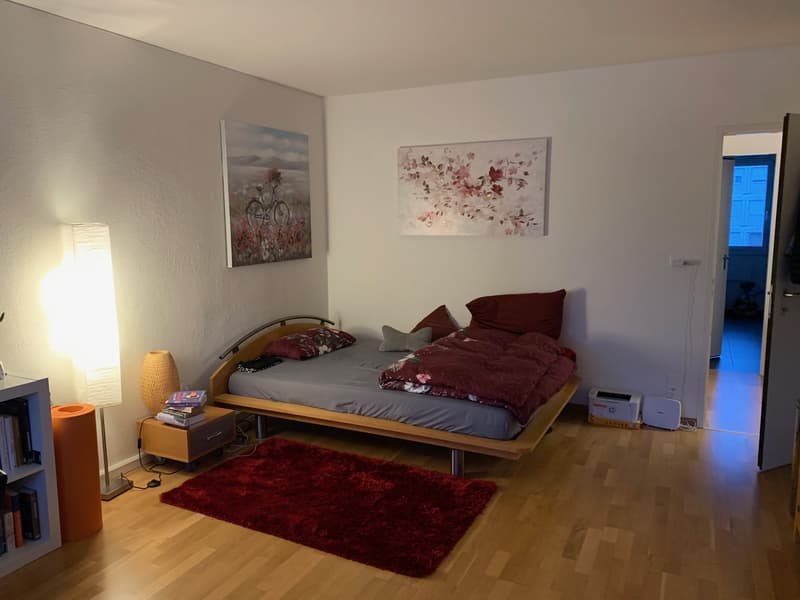 Zimmer in sonniger 3er-WG in Greifensee  ab 1. März 2027 (2)