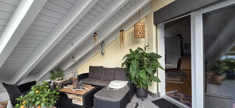Wunderschöne 3 1/2 Zimmerwohnung mit taumhafter Berg- und Seesicht (3)
