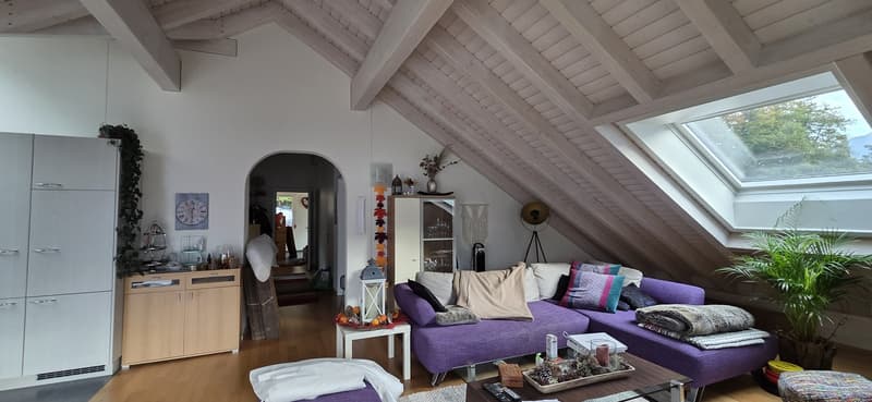 Wunderschöne 3 1/2 Zimmerwohnung mit taumhafter Berg- und Seesicht (5)