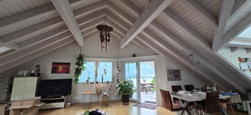 Wunderschöne 3 1/2 Zimmerwohnung mit taumhafter Berg- und Seesicht (1)