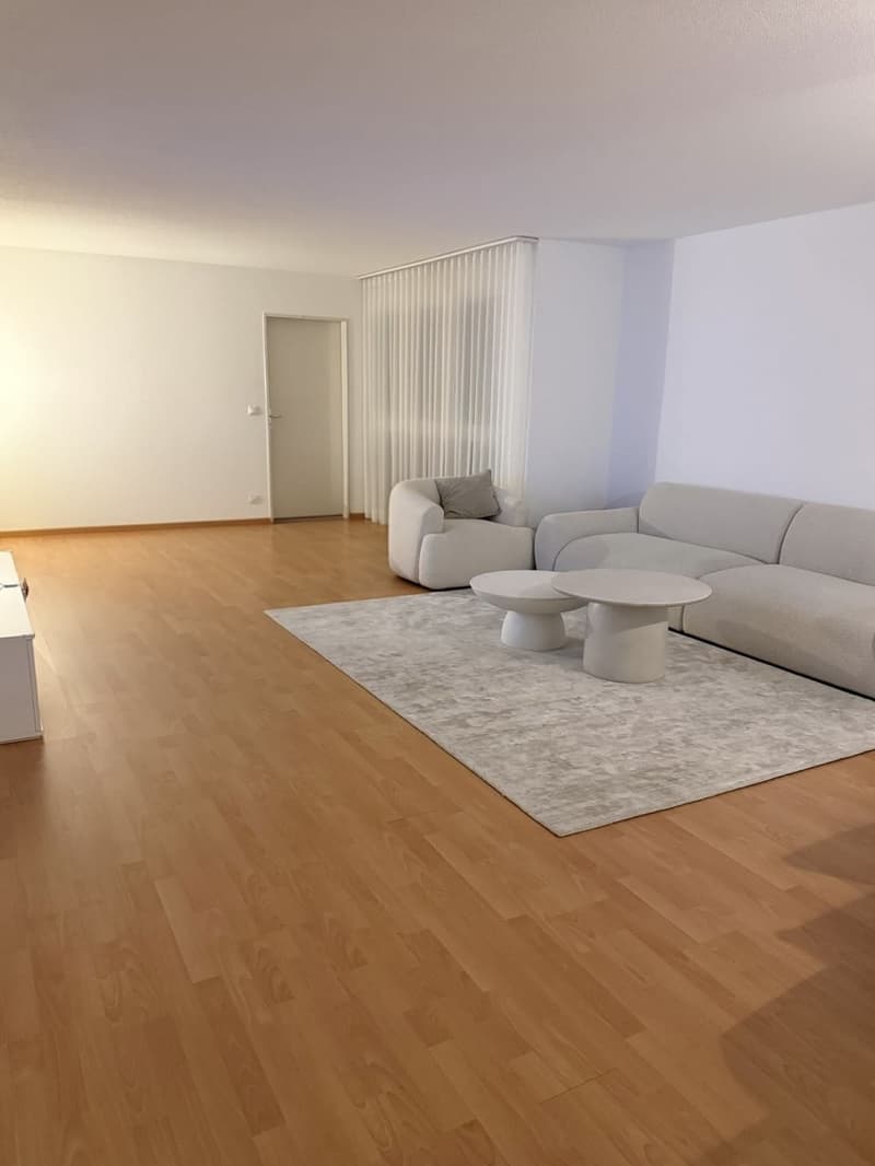 3.5-Zimmer-Wohnung mit Sitzplatz in Buchs ZH Nachmieter gesucht (1)