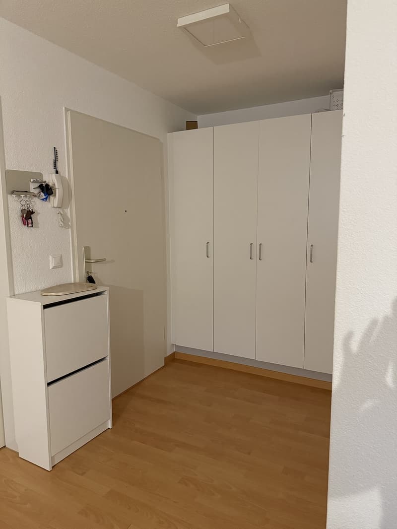 3.5-Zimmer-Wohnung mit Sitzplatz in Buchs ZH Nachmieter gesucht (8)