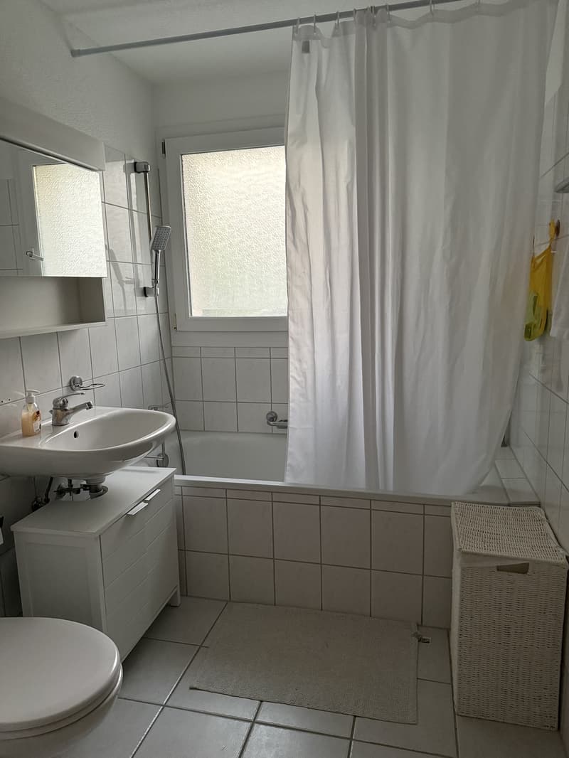 3.5-Zimmer-Wohnung mit Sitzplatz in Buchs ZH Nachmieter gesucht (6)