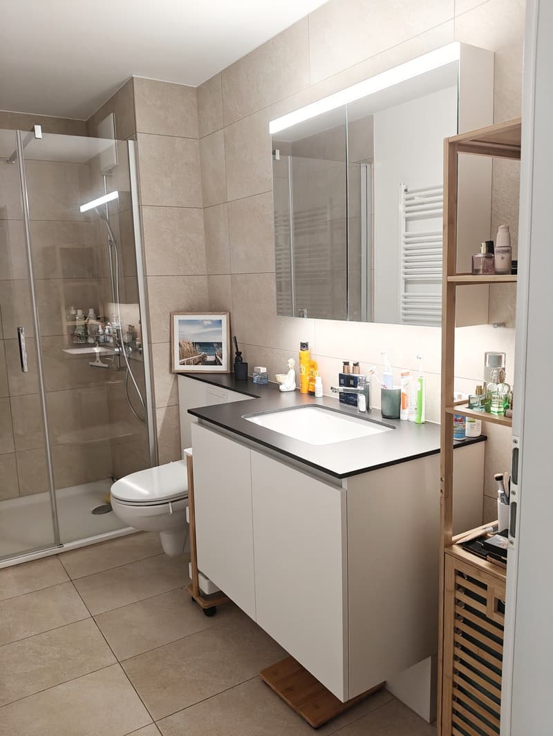 3.5-Zimmer-Wohnung mit 40 m² Terrasse (4)