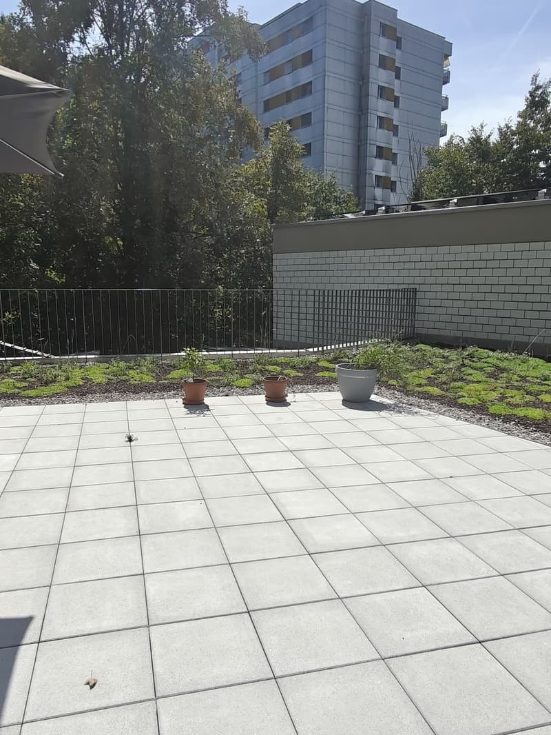 3.5-Zimmer-Wohnung mit 40 m² Terrasse (3)