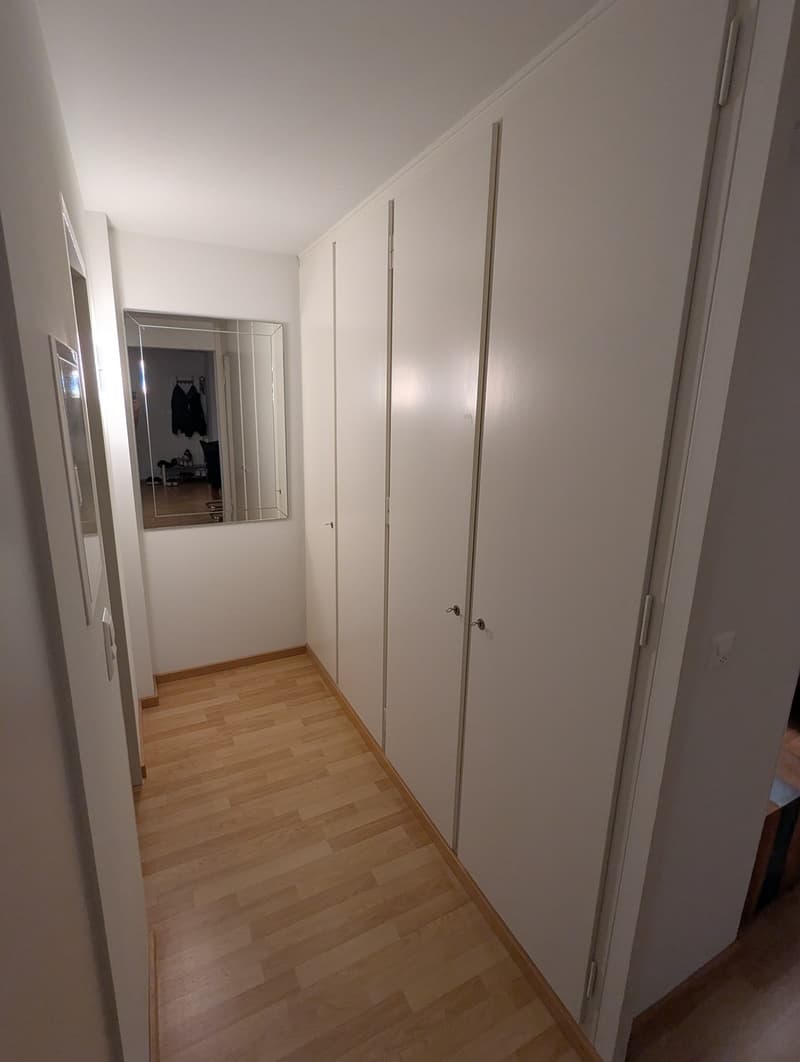 Helle 2.5-Zimmer-Wohnung an zentraler Lage in Wädenswil (5)