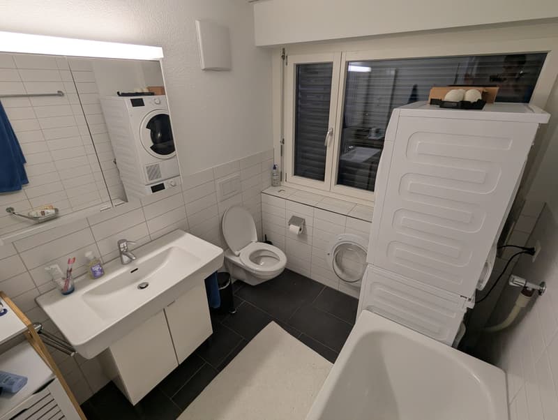 Helle 2.5-Zimmer-Wohnung an zentraler Lage in Wädenswil (4)